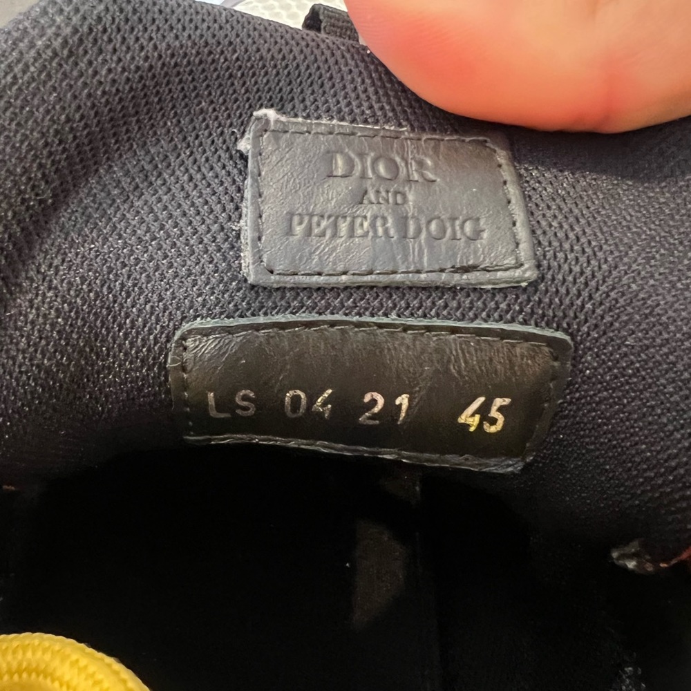 Dior x Peter Doig b22 - Picture 4 of 5